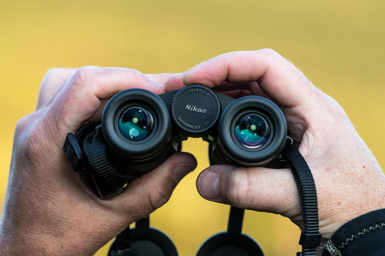 Lornetka Nikon MONARCH M5 12x42