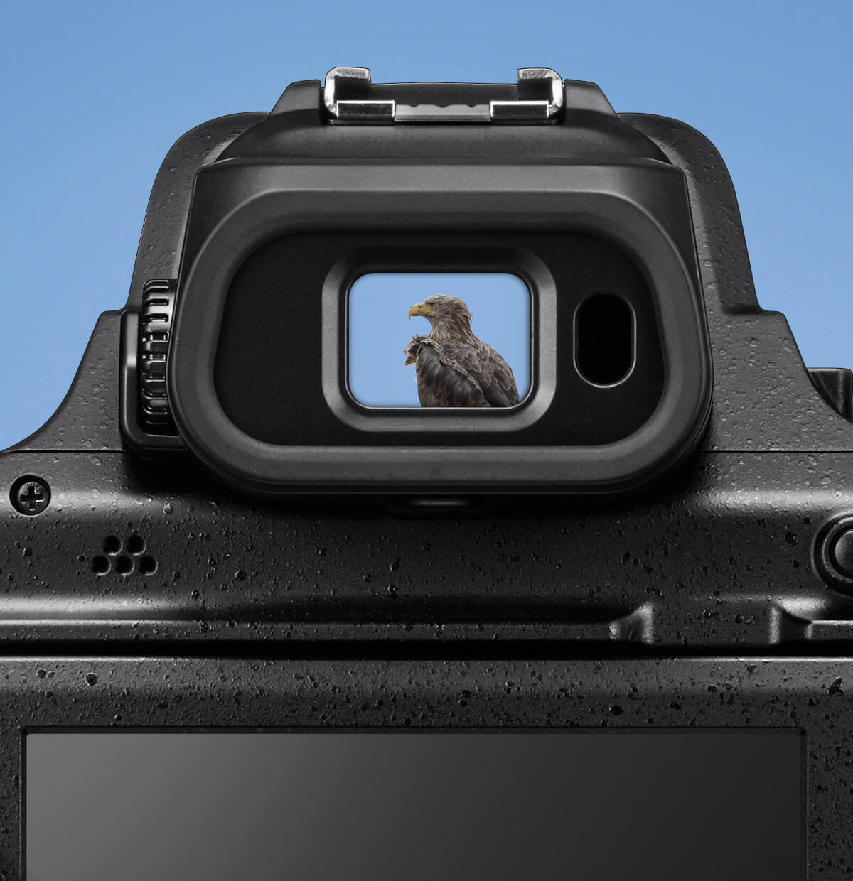 Aparat Nikon Coolpix P1100