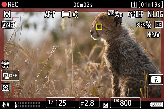 Bezlusterkowiec Nikon Z9 Cena zawiera rabat od firmy NIKON |
