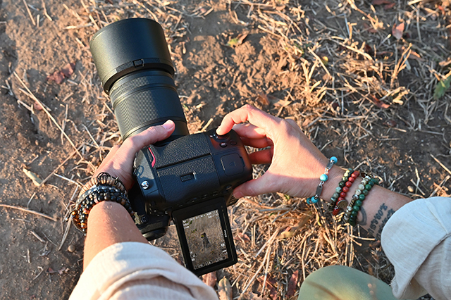 Bezlusterkowiec Nikon Z9 Cena zawiera rabat od firmy NIKON |