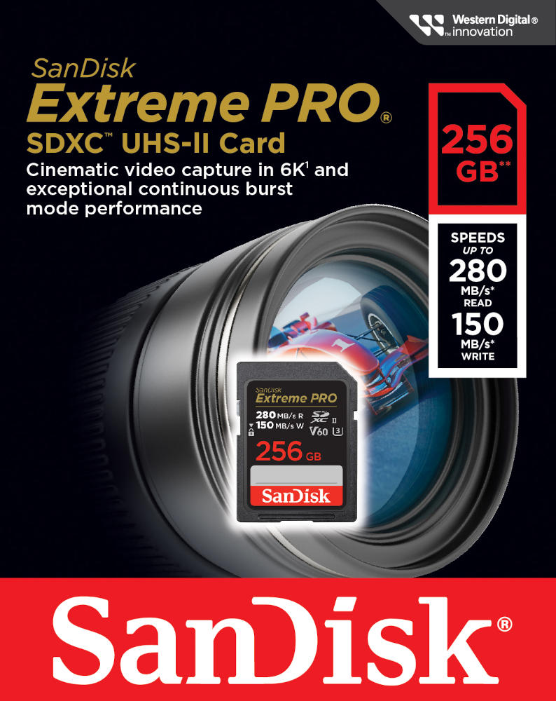 Karta pamięci SanDisk SDXC Extreme PRO 256GB (280MB/s) V60 UHS-II U3/SDSDXEP-256G-GN4IN