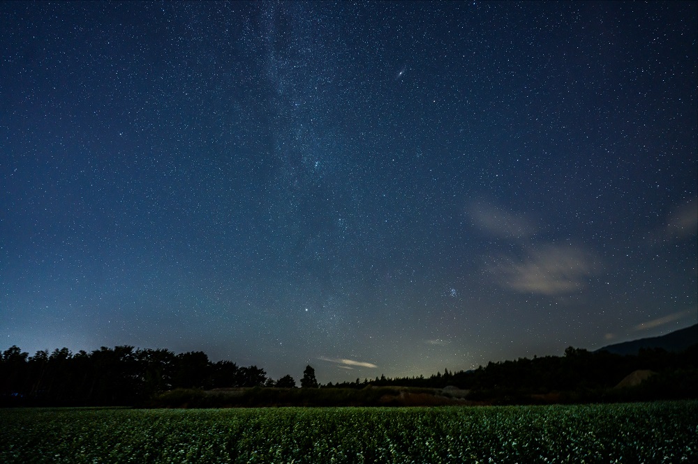Obiektyw Sigma 14-24mm f/2,8 DG DN Art (Sony E) - 5 lat gwarancji - Promocja ZOOMY F2.8 (cena zawiera rabat)