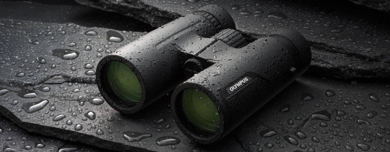 Lornetka Olympus 10x42 PRO