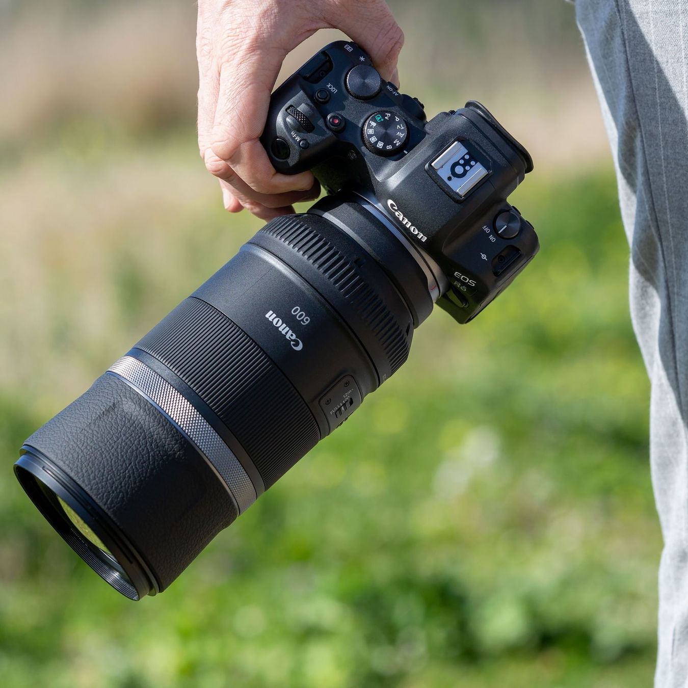 Bezlusterkowiec Canon EOS R6 body + adapter EF-EOS R - TYLKO ODBIÓR OSOBISTY KATOWICE! (wypożyczalnia)