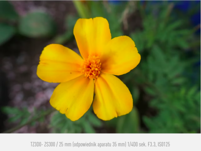 Aparat Panasonic Lumix TZ300 (srebrny) |Promocja Dni Otwarte