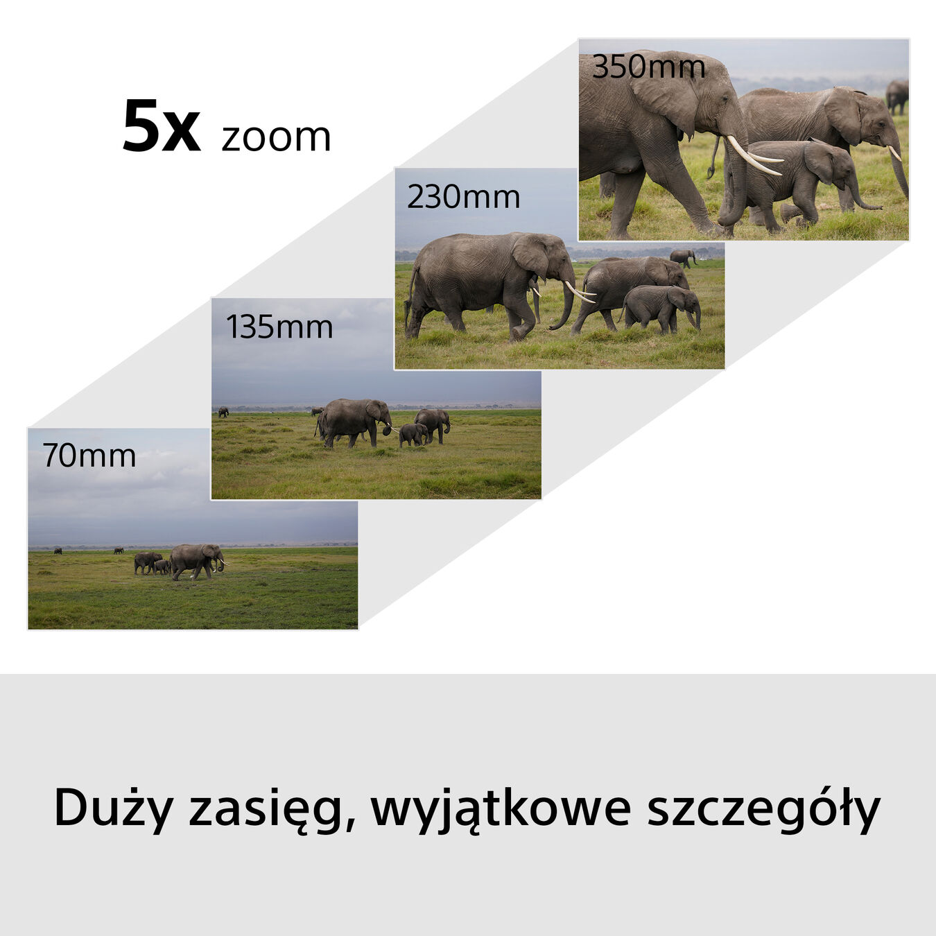 Bezlusterkowiec Sony A6700 + Obiektyw Sony E 70-350mm f/4.5-6.3 OSS G Lens + 16-50mm - Wildlife Photography Kit ILCE6700GBDI.EU