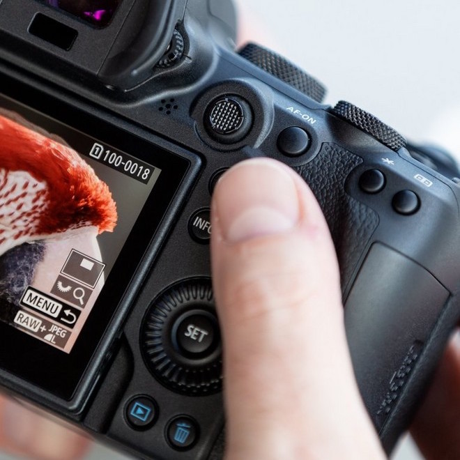 Bezlusterkowiec Canon EOS R6 body + adapter EF-EOS R - TYLKO ODBIÓR OSOBISTY KATOWICE! (wypożyczalnia)