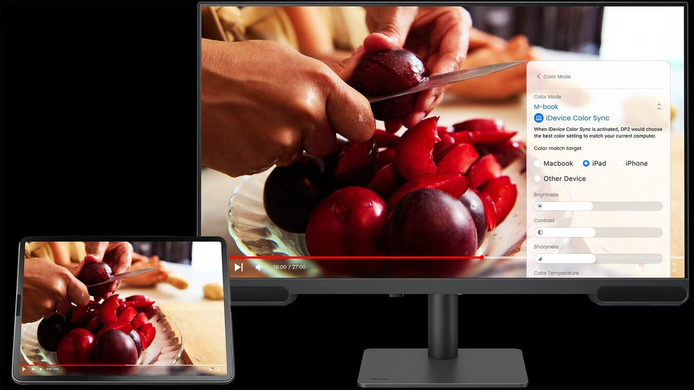 Monitor BenQ PV3200U