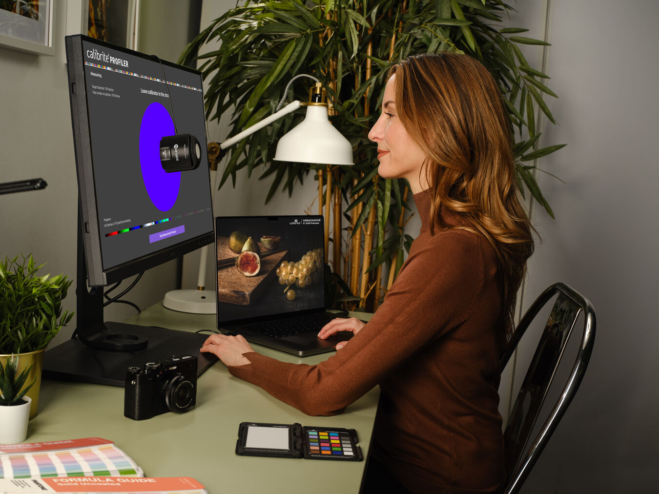 Kalibrator CALIBRITE Display SL - wyprzedaż (EOL)