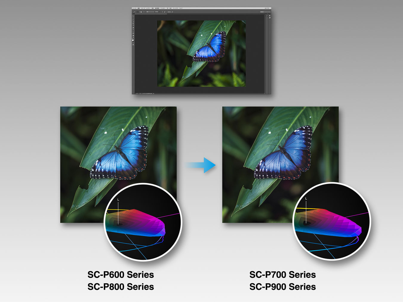 Drukarka Epson SureColor SC-P900 + podajnik rolkowy