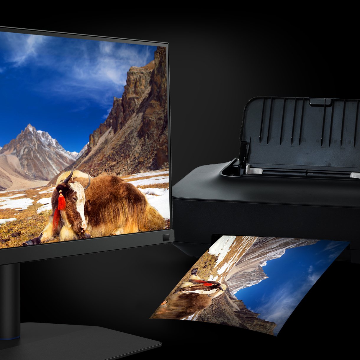 Monitor BenQ SW272Q