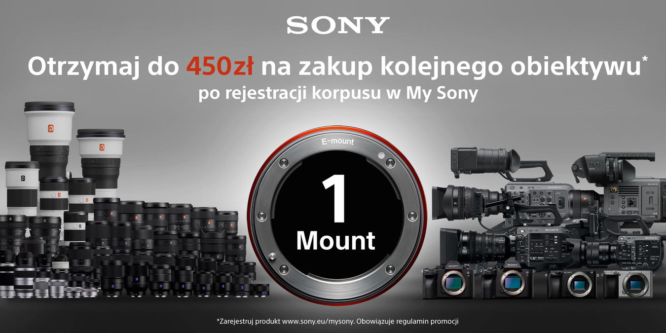 Obiektyw Sony Carl Zeiss Vario-Tessar T* FE 24-70mm f/4 ZA OSS - sn:6809981 - Używany
