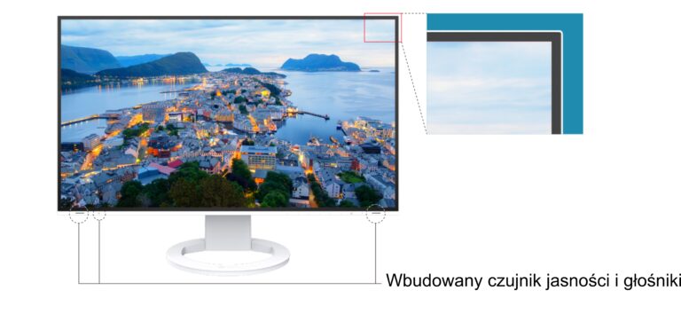Monitor EIZO FlexScan EV2495-BK [Autoryzowany Partner Premium]
