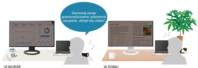 Monitor EIZO FlexScan EV2495-BK [Autoryzowany Partner Premium]