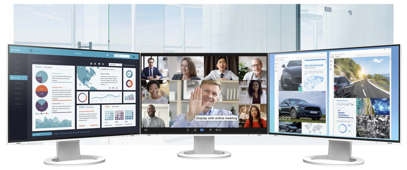 Monitor EIZO FlexScan EV2495-BK [Autoryzowany Partner Premium]