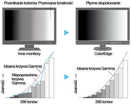 Monitor EIZO ColorEdge CG2700X [Autoryzowany Partner Premium = 6 lat gwarancji] - Tylko teraz RABAT NATYCHMIASTOWY w koszyku!