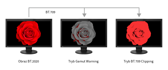 Monitor EIZO ColorEdge CG2700X [Autoryzowany Partner Premium = 6 lat gwarancji] - Tylko teraz RABAT NATYCHMIASTOWY w koszyku!