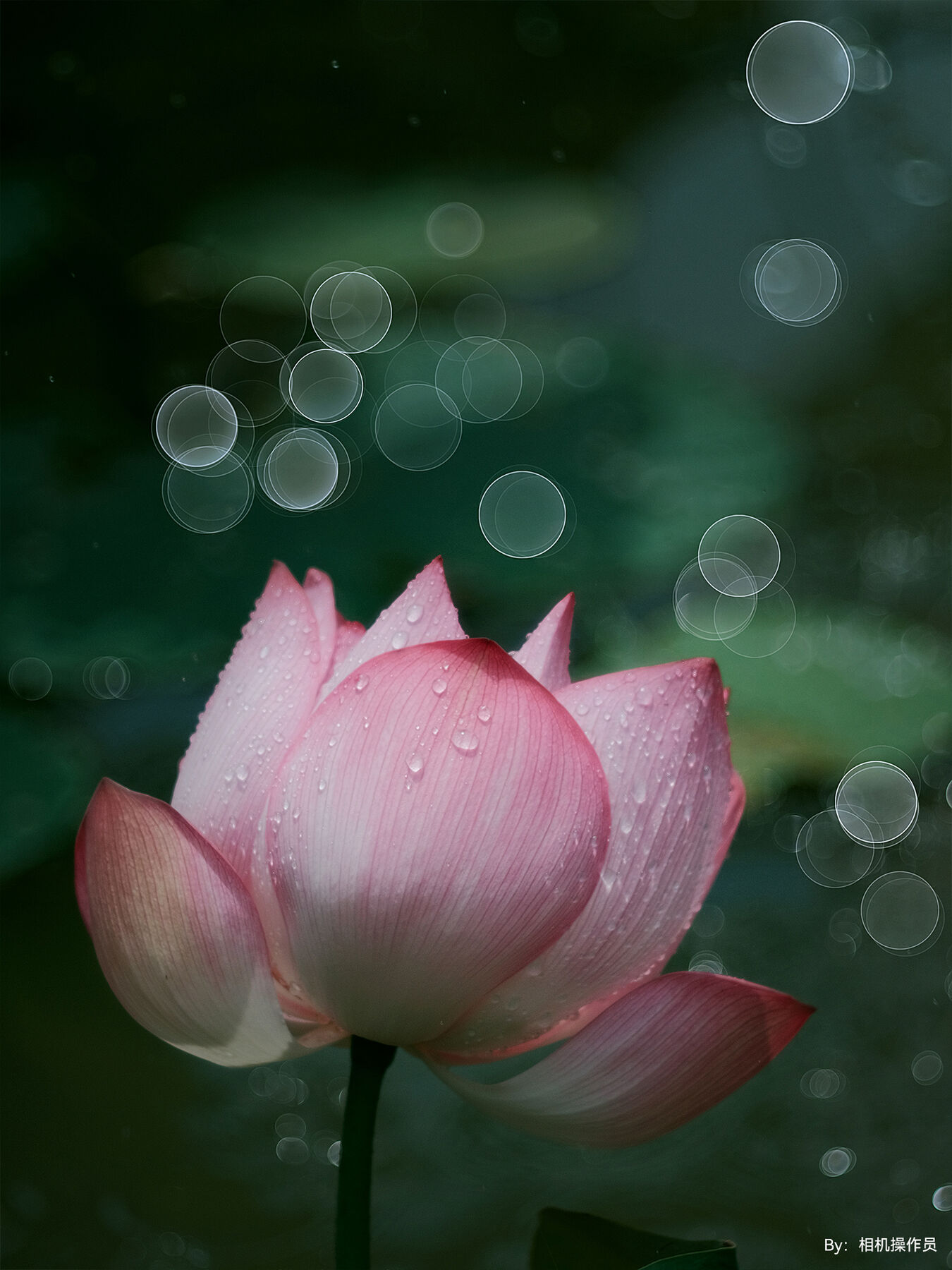 Obiektyw TTArtisan 100mm f/2.8 Soap Bubble Bokeh - mocowanie M42