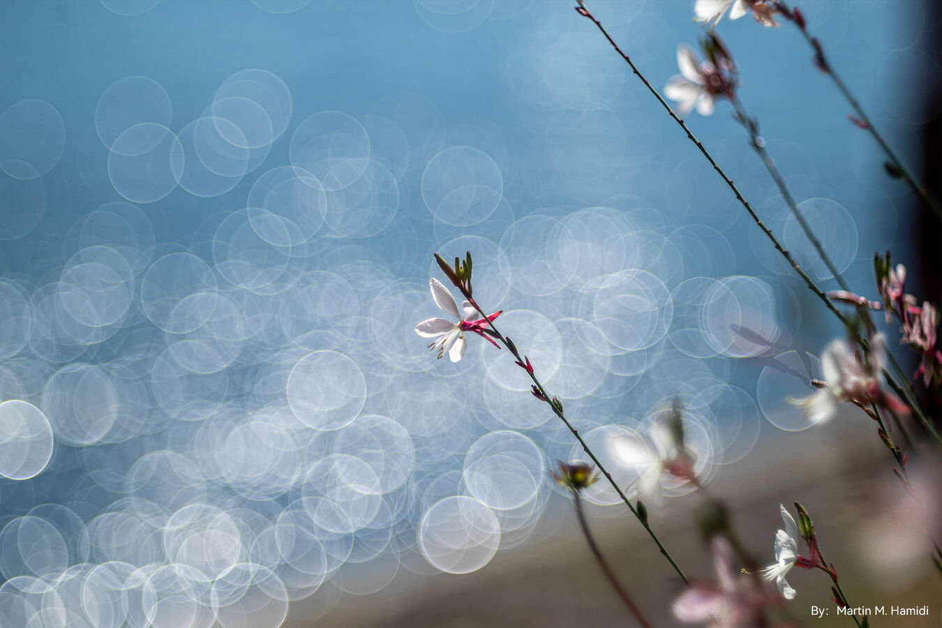 Obiektyw TTArtisan 100mm f/2.8 Soap Bubble Bokeh - mocowanie M42