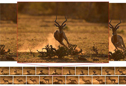 Lustrzanka Nikon D500 + Nikon pojemnik na baterie MB-D17