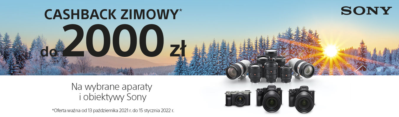 Obiektyw Sony Carl Zeiss Vario-Tessar T* FE 24-70mm f/4 ZA OSS - sn:6809981 - Używany
