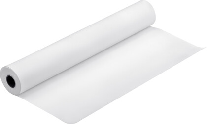 Papier w roli Epson Premium Semimatte Photo 16" x 30,5 m [C13S042149]