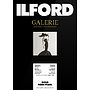 Papier ILFORD Galerie GOLD Fibre Pearl 290gsm